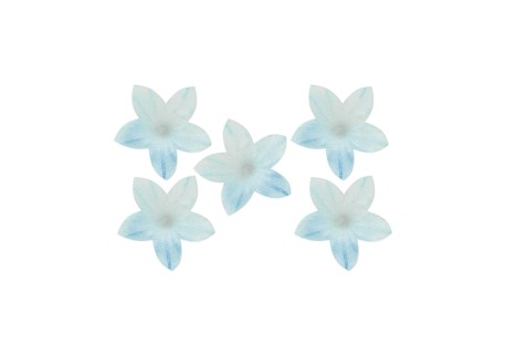 Mini flores azul em hóstia