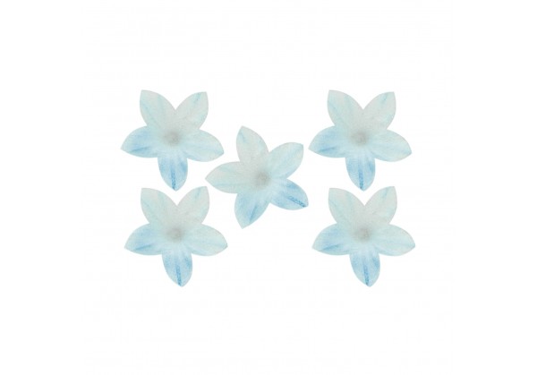 Mini flores azul em hóstia