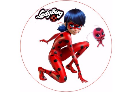 DISCO HÓSTIA  LADYBUG